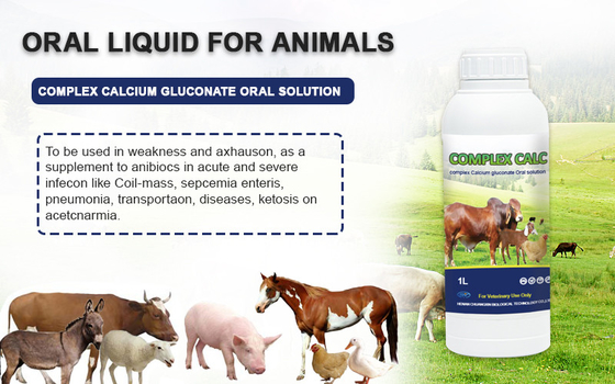 Sığır Koyun Atları İçin Oral Çözelti İlaç Kompleksi Kalsiyum Glukonat Oral Çözelti