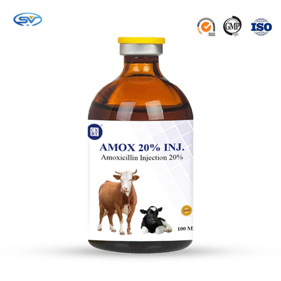 Sığır Enfeksiyonu İçin% 20 100ml Veteriner Antiparazitik İlaçlar Amoksisilin Enjeksiyonu