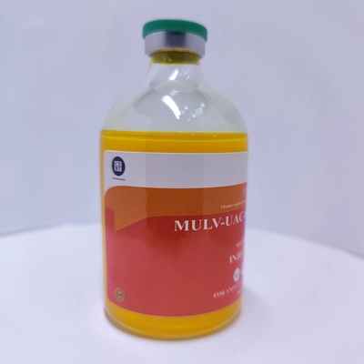 Veteriner İlaç Enjekte edilebilir Farklı Vitamin Enjeksiyonları 100ml en iyi fiyat
