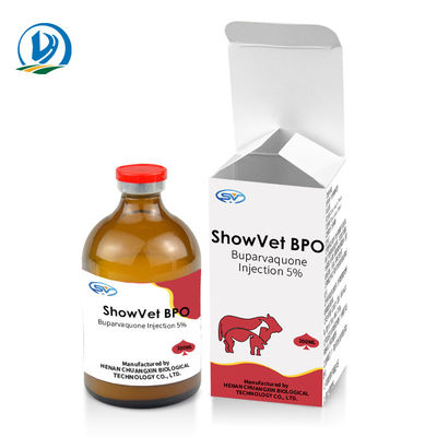 Sığır Buzağıları Koyun Keçileri Köpekler Kediler İçin Buparvaquone Enjeksiyonu %5 Veteriner Enjekte Edilebilir İlaçlar